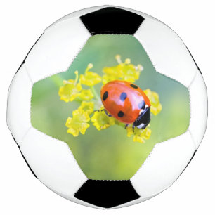 Ballon De Foot femme au sommet