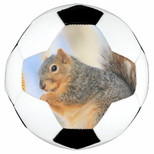 Ballon De Foot Furball d'aujourd'hui