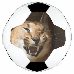 Ballon De Foot Goofy Lynx