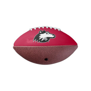 Ballon De Foot Huskies du nord de l'Illinois