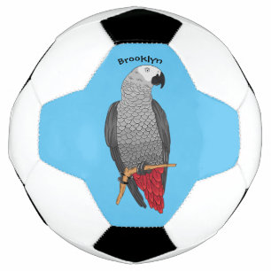 Ballon De Foot Illustration d'un perroquet gris en Afrique