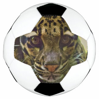 Ballon De Foot Leopard obscurci