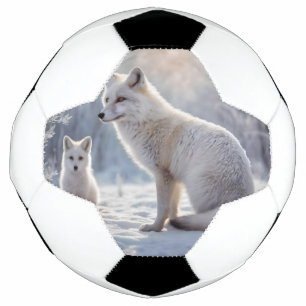 Ballon De Foot "Les obligations décongelées : le renard arctique 