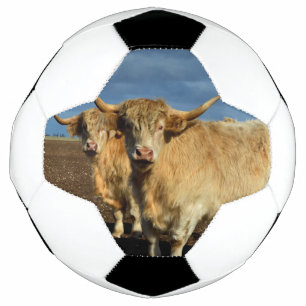 Ballon De Foot Les vaches Fawn Highland,