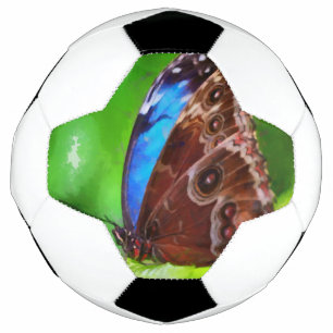 Ballon De Foot Peinture à papillon