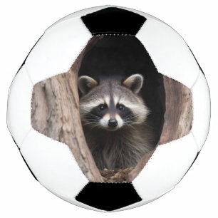 Ballon De Foot Racon dans la grotte des arbres