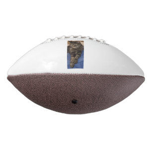 Ballon De Foot Regal Dave Football américain
