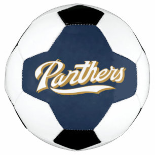 Ballon De Foot Script des panneaux FIU