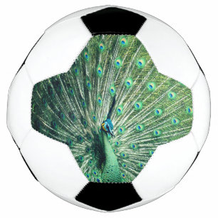 Ballon De Foot Strut Peacock