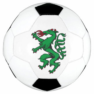 Ballon De Foot Styrie Rot Grün Armoiries Panther Autriche