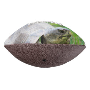 Ballon De Foot Tortue