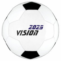 Vision 2025