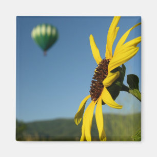 Ballon Magnet