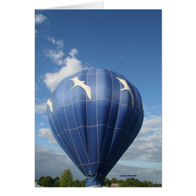Ballon! Möwen fliegen (Vorne)