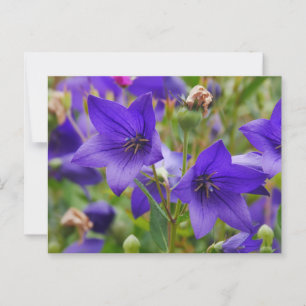 Balloon Blume Postcard Postkarte