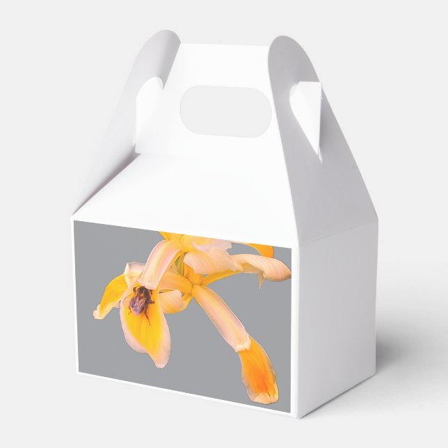 Ballotins Abeille sur une fleur jaune (Verso)