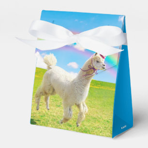 Ballotins Alpaca Unicorne sous ciel ciel
