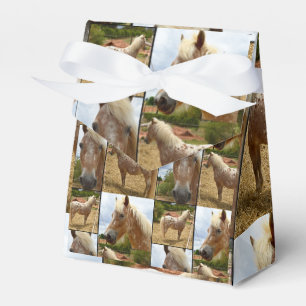 Ballotins Appaloosa Horses Photo Collage, Cadeau
