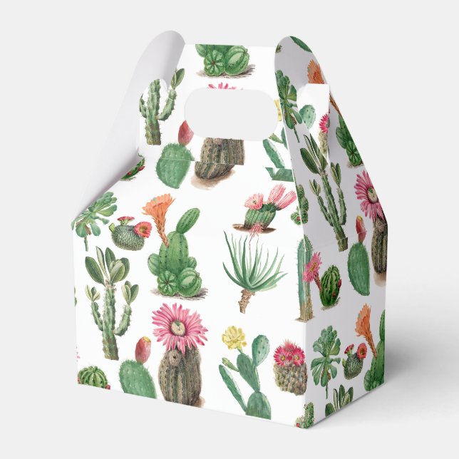 Ballotins Aquarelle colorée Cactus et succulents Fleurs (Verso)