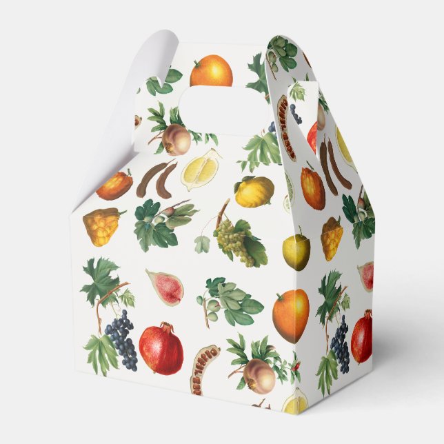 Ballotins Aquarelle Motif de fruits méditerranéen (Verso)