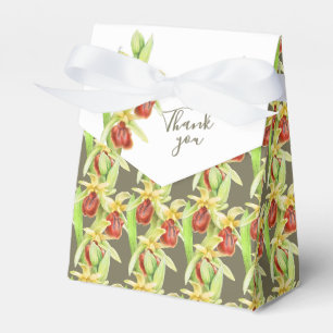 Ballotins Araignée précoce aquarelle orchidée merci boîte ca