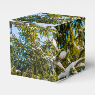 Ballotins Arbre De Noël Vert En Neige