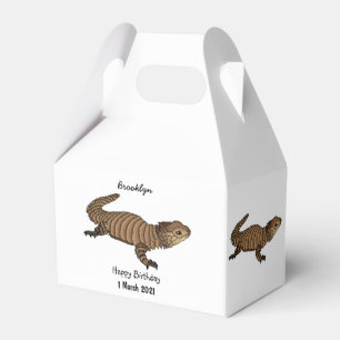 Ballotins Armadillo girdled lizard