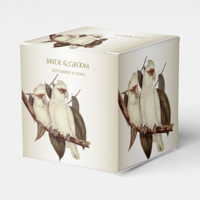 Ballotins Ballotin aux oiseaux blancs (Verso)