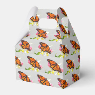Ballotins Ballotin de beauté papillon