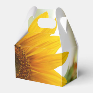 Ballotins Ballotin de tournesol d'été