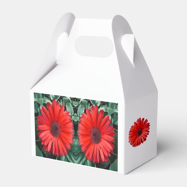 Ballotins Ballotin orange Daisy (Verso)