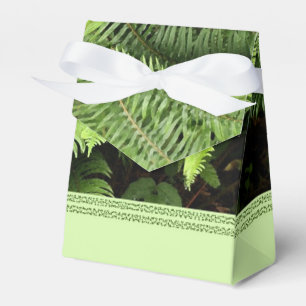 Ballotins Ballotin vintage Green Fern