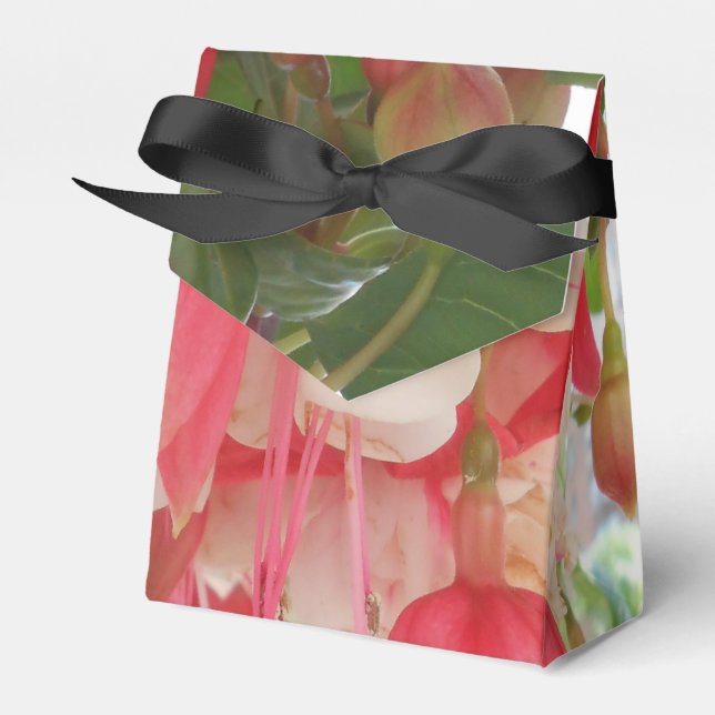 Ballotins Bashkirtseff (Verso)