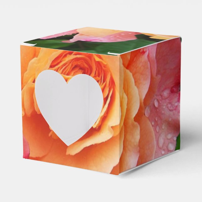 Ballotins Belle photo rose rose et orange (Verso)