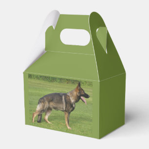 Ballotins Berger Allemand Sable Complet