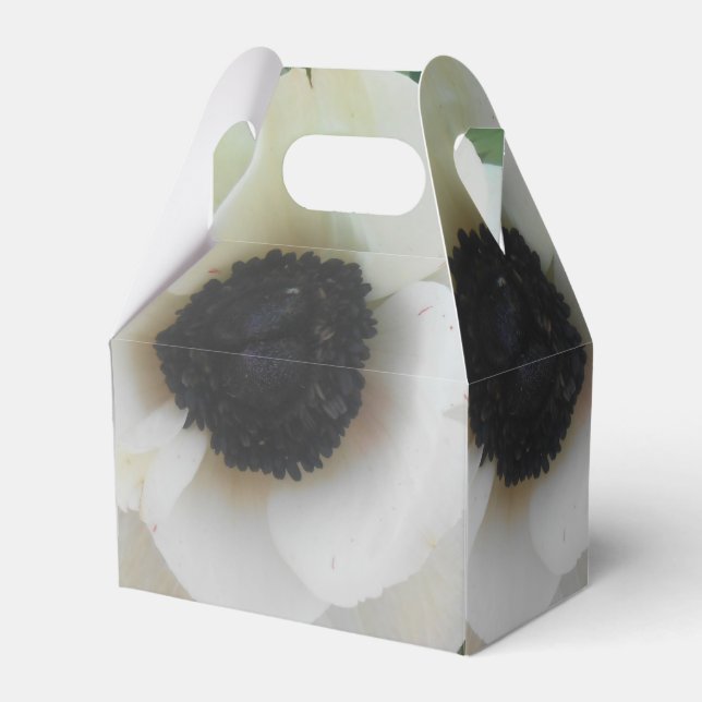 Ballotins Blanchard (Verso)