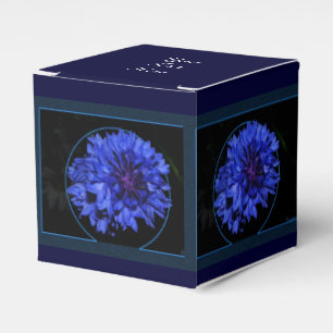 Ballotins Bleuet