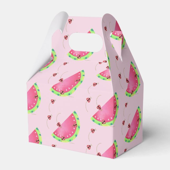 Ballotins Boîte à pâte de pastèque de Ladybug (Verso)