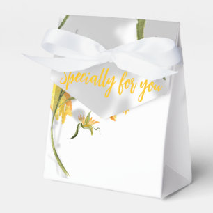 Ballotins boîte cadeau.
