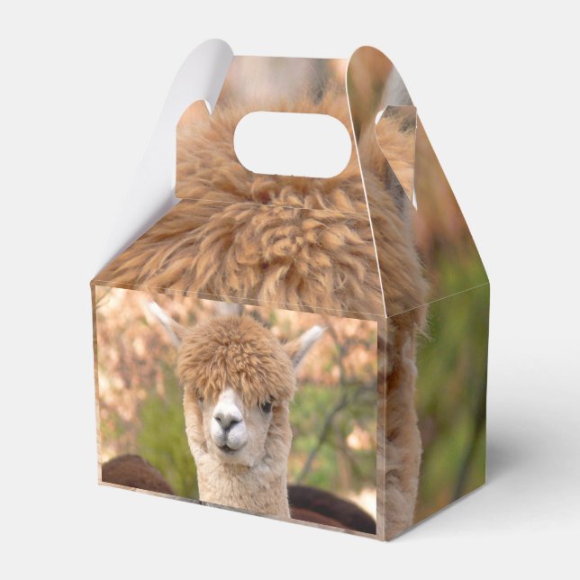Ballotins Boîte cadeau Alpaca (Verso)