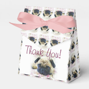 Ballotins Boîte de cadeau de Merci de chien de carlin