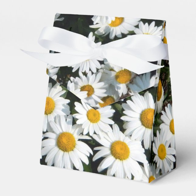 Ballotins Boîte de Faveurs Marguerite Soleil (Verso)