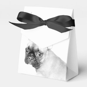 Ballotins Bouledogue français