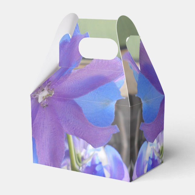 Ballotins Bowen (Verso)