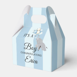 Ballotins Boy Baby Shower 4"w x 2.5"l x 5"h