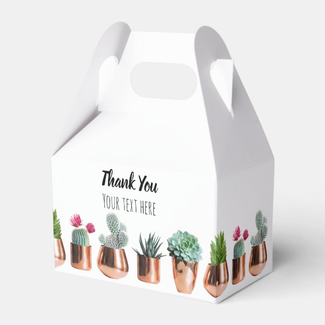 Ballotins Cactus et succulents dans des pots d'or Roses (Verso)