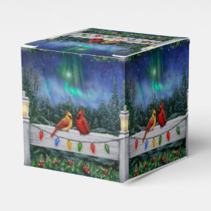 Ballotins Cardinaux et lumières de Noël Neige d'hiver