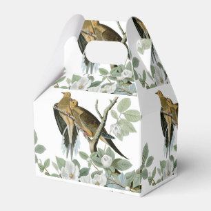 Ballotins Carolina Pigeon Audubon Morning Dove