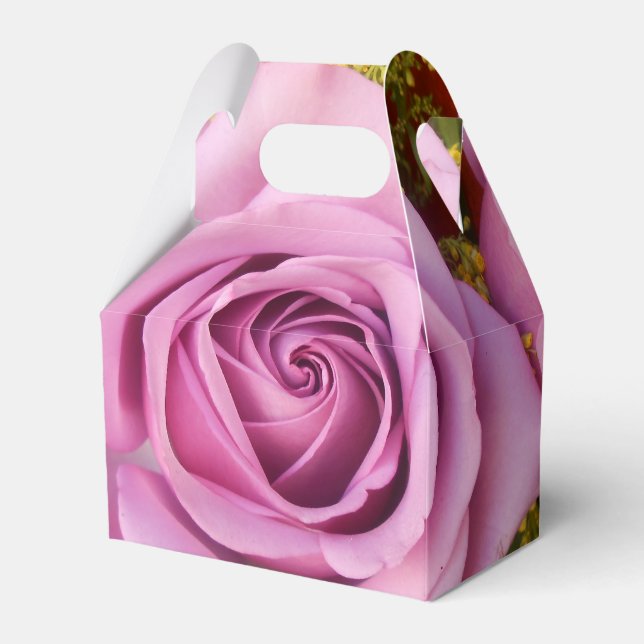 Ballotins Catejne (Verso)