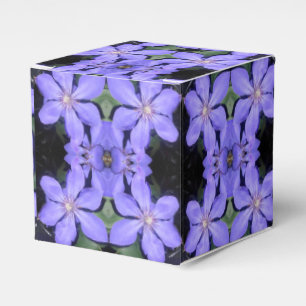 Ballotins Cé sarine